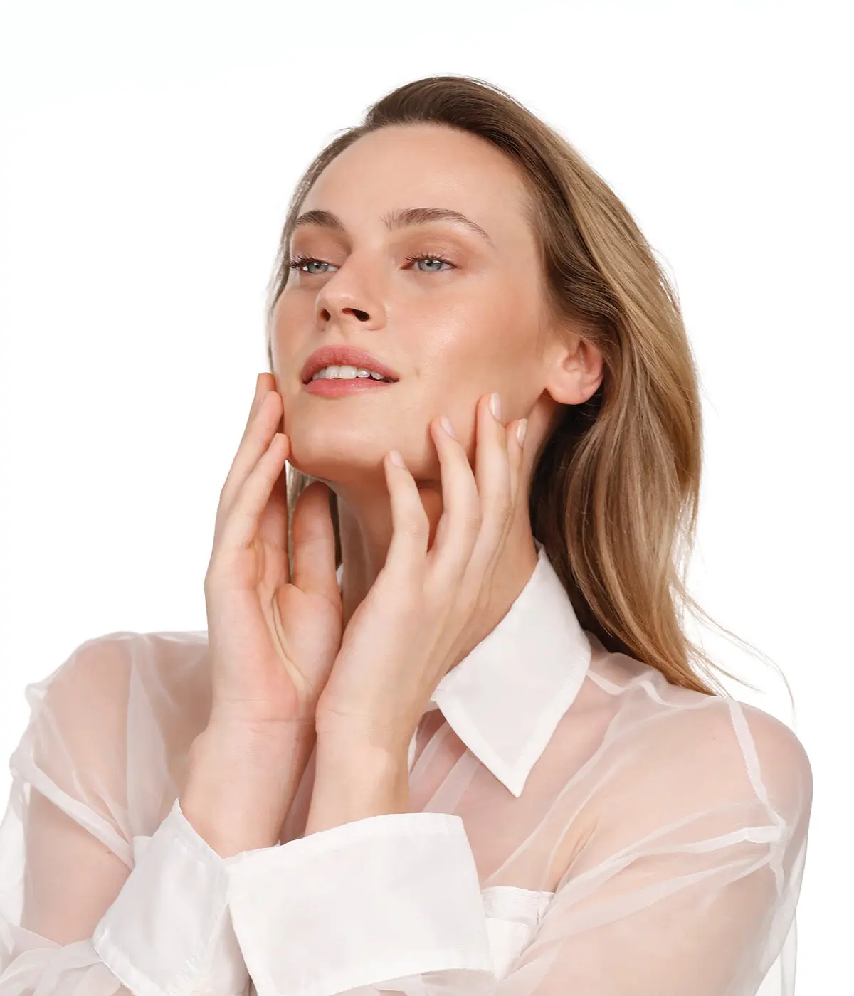 Nuance Absolute Immortelle - Image 3